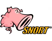 Snort 3: релиз новой серии обнаружения атак