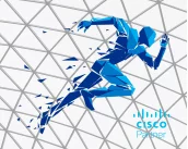 Забег чемпионов Cisco, результаты конкурса