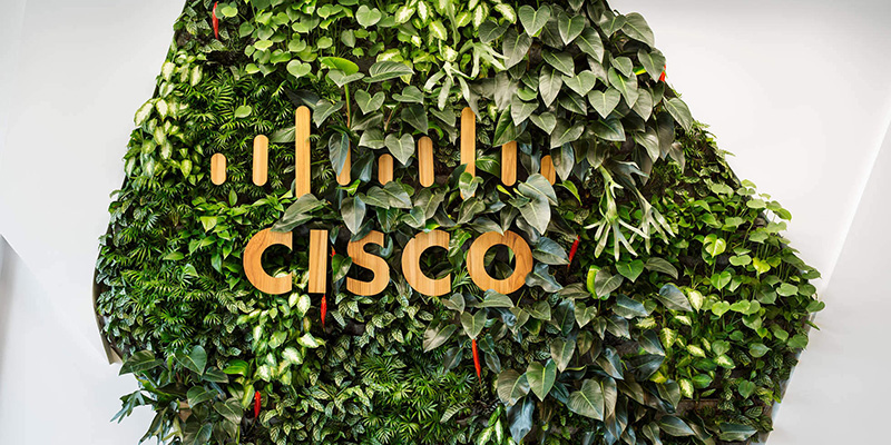 cisco green