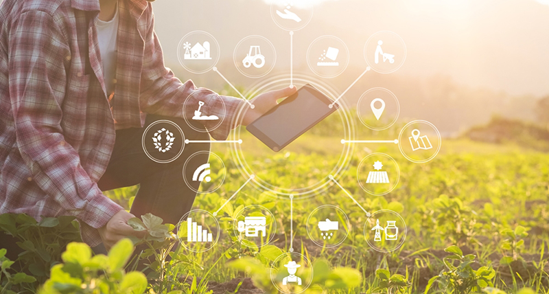 A digital blueprint for smart agriculture 
